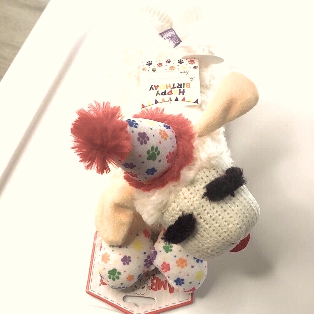 🥳HP🐶 Birthday LambChop